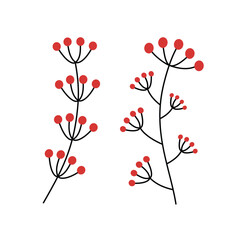 Minimalist Red Berry Branches Botanical Illustration. Red berry twig illustration. Flower inflorescences. 