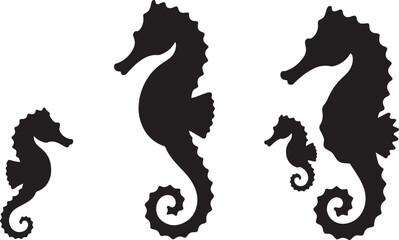 Seahorse family group black silhouette isolated on transparent background vector illustration © Pappu0099