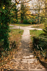 Newcastle upon Tyne UK: 17th Nov 2025: Stairs lead down to Leazes Park, covered in fallen leaves, with trees lining the sides. It is late afternoon, and the area shows signs of autumn