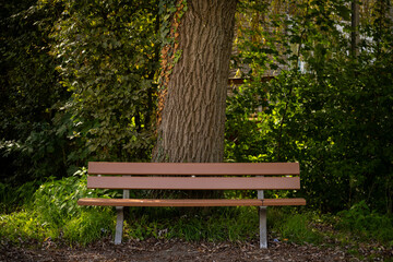 A wooden bench is sitting in a park next to a tree