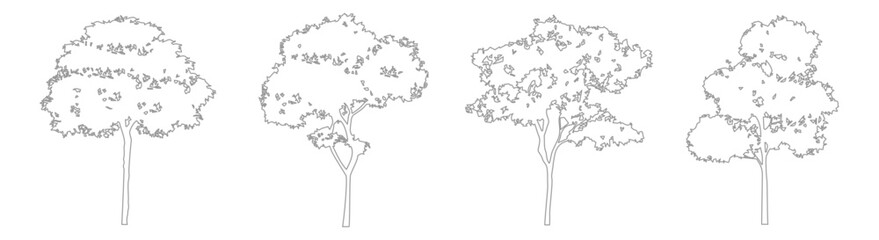 CAD Tree Elevation Drawings in Minimal Line Style for Architecture and Landscape Use