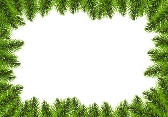 Fir Tree Bolder And White Backgroud