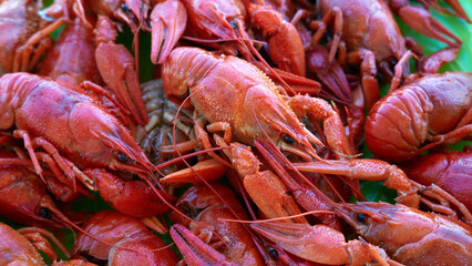 A lot of boiled crayfish scattered on the table.