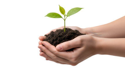 Human hands holding a vibrant green seedling in fertile soil, symbolizing growth, new life, hope, and environmental protection on a black background.