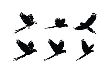 Fototapeta premium macaw flying bird silhouette vector set
