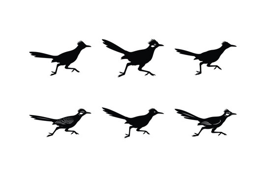 roadrunner running bird silhouette vector set