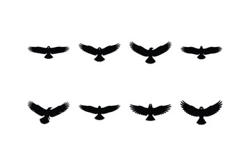 Fototapeta premium vulture flying wide wings silhouette vector set