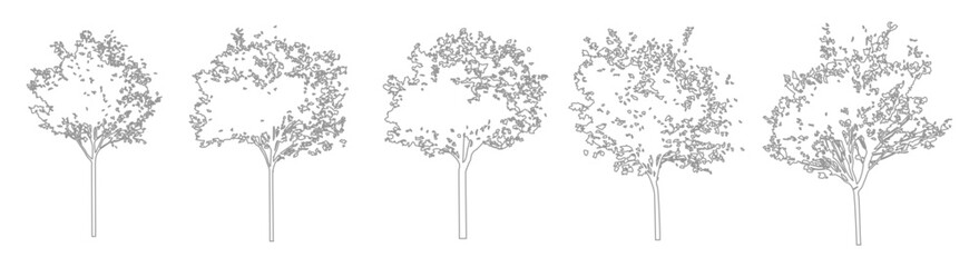 Clean Line CAD Tree Set, Side View Vegetation Drawings for Architectural and Landscape Plans