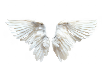 Dynamic geometric patterns. Minimalistic design concept