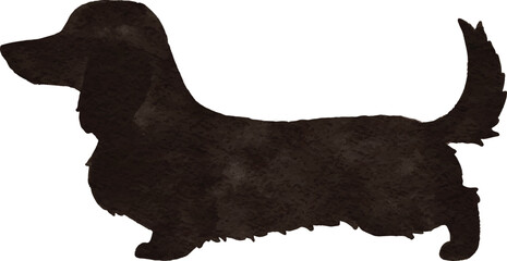 Watercolor silhouette illustration of long hair Miniature Dachshund in black