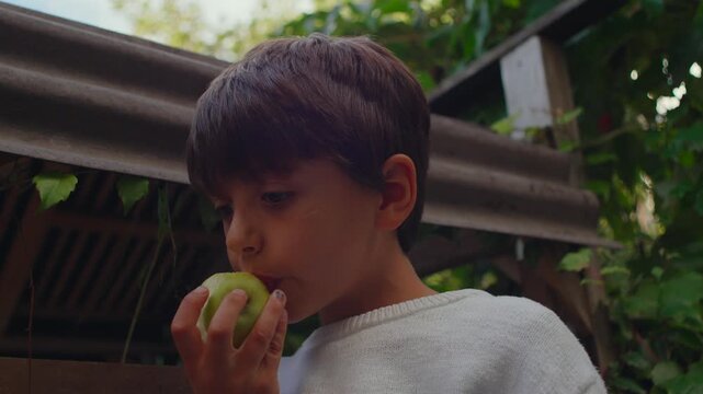 Boy holding bitten green fruit while standing beneath shaded foliage with pensive distant expression creating quiet contemplative childhood moment shaped by soft natural surroundings outdoors