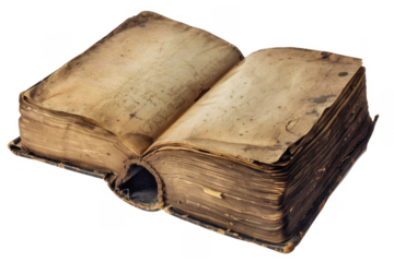 Enjoy the Ultimate Beach Party Experience. Fun and colorful beach party concept