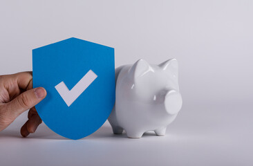 Protecting savings concept featuring a piggy bank and a blue shield with a checkmark. Illustrates secure finances, investment, and financial sta