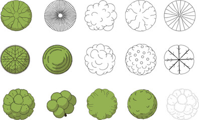 Flat tree foliage collection, bushes, greenery, round leaves, tree top views, bush patterns, plant textures, flat vector illustration