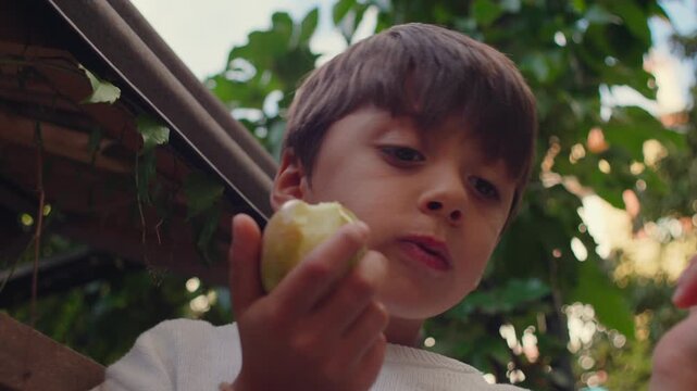 Boy taking bite from green fruit while looking upward with soft curiosity beneath leafy branches creating simple sensory childhood moment shaped by natural outdoor surroundings