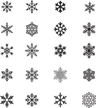 set of snowflakes vector