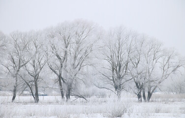Wonderful winter landscape on a clear frosty day.
