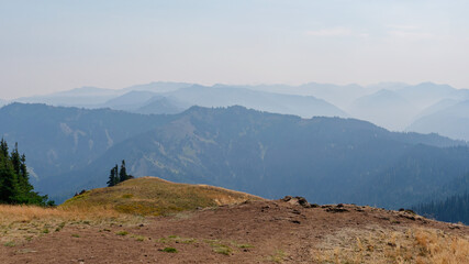 Scenic panoramic view of layered misty mountain ridges in Olympic National Park, Washington State,...
