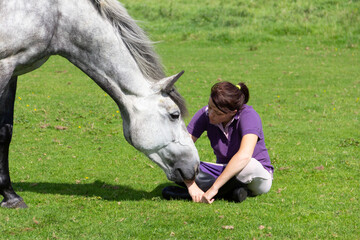 Pretty young woman sits chatting to her grey horse in its field on a summers day in rural Shropshire UK as it sniffs her and shows love and trust.