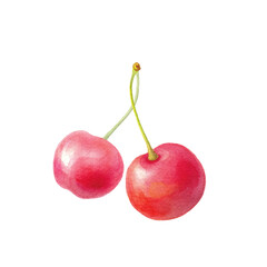 水彩のさくらんぼ 2粒 ベクター（単体・手描き） 