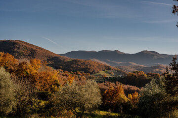 Naklejka premium Molise is an Italian region with a stretch of coast overlooking the Adriatic Sea. It includes a part of the Abruzzo National Park in the Appennine mountain range, with a rich wildlife and trails.