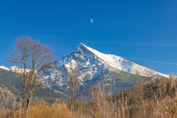 Krivan mountain in High Tatras National Park, Slovakia, Europe. Majestic snowy peak in the distance under a clear blue sky with leafless trees adding texture to the serene landscape.