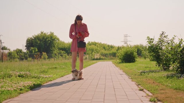 Sidewalk Owner Coaxing Small Dog Forward. Leash Slack And Patient Gestures As Owner Offers Treat And Encouragement, Sunny Pathway With Green Borders, Casual Pink Outfit And Calm Training Vibe