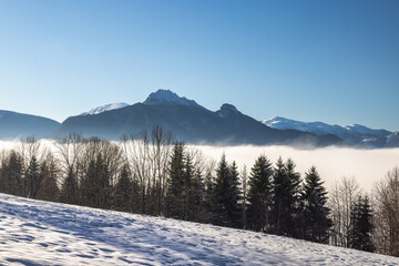 Snowy winter landscape in a misty sunny morning. The Mala Fatra national park in northwest of Slovakia, Europe.