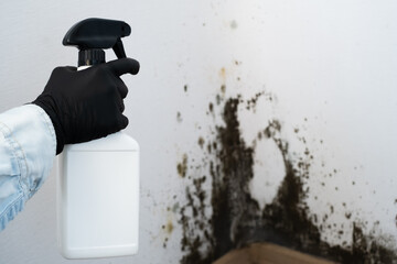 A person wearing a glove holds a spray bottle while standing near a wall covered in mold. Silent...