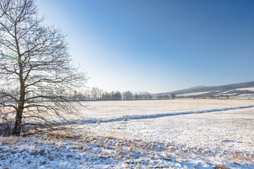 Winter snowy country at sunny day. Region Pilsen in Czech Republic, Europe.