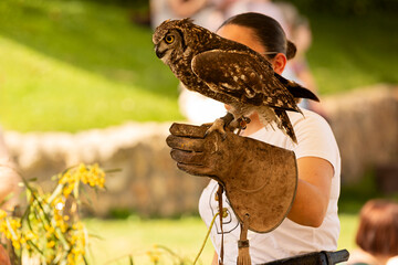 Mujer con b&uacute;ho Magellanicus en mano.	