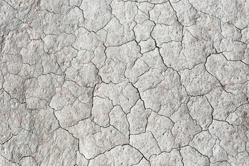 Light gray cracked dry earth texture background. Parched soil surface with fine natural fissures. Abstract drought pattern seen from above. Neutral stone like ground detail. Climate change and water.