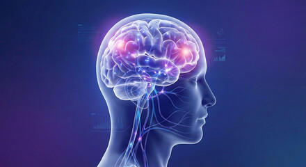 A vivid illustration of human brain activity and the complex nervous system