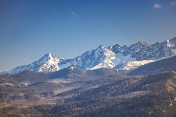 Tatra Mountains above Zakopane town in Poland, Europe. Majestic mountains are capped with snow, creating a striking contrast against the clear, blue sky and the dense forests below.