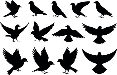 Bird Silhouettes Collection
