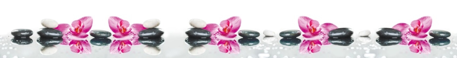 Spa concept banner with pink orchids and black zen stones on water reflection