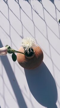 hands gently arranging blush pink roses, white flowers, and greenery inside a rustic ceramic vase with soft natural shadows on a white surface.
