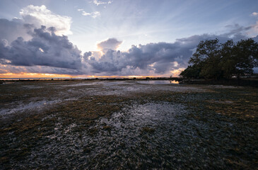 A moody coastal wetland at sunset features dramatic clouds, calm water, and a distant tree line. Rich colors and reflections create a serene landscape ideal for nature and travel themes.