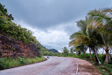 Scenic Tropical Road Surrounded by Palm Trees Under an Overcast Sky