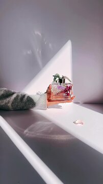 a hand holding a clear glass perfume bottle filled with pressed flowers, set against a white surface with dramatic natural light and gentle shadows.