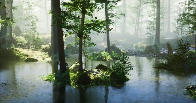 A serene forest setting features a still pond with crystal clear water. Sunlight filters through the trees, illuminating vibrant green plants and the peaceful atmosphere.