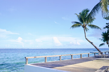 Tropical Beachfront Resort with Palm Trees and Sunny Ocean View