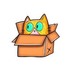  Cute Kitten Peeking from Cardboard Box