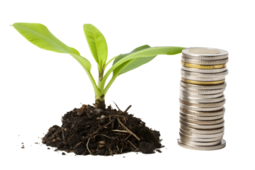 A vibrant green sprout emerging from fertile soil, beside a neat stack of coins, symbolizing progressive financial growth, wise investment, and future prosperity cultivation