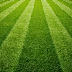 A perfect, manicured lawn showing distinct, alternating stripes. The lush green grass is beautifully maintained and ready for summer activities ,verdant ,turf ,stripes