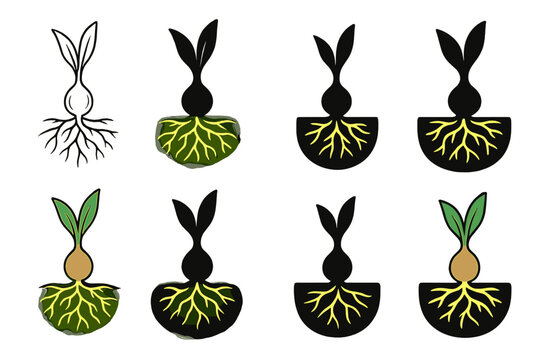 Luminous Geophyte Roots. Geophyte plant with luminous underground network of roots, clean minimalist vector, first in line style
