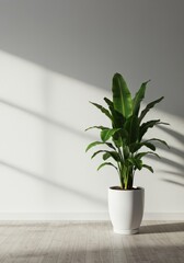 Fototapeta premium A dramatic indoor structural plant in a modern white pot, perfectly placed within a bright minimalist architectural interior setting ,potted ,vibrant ,decor
