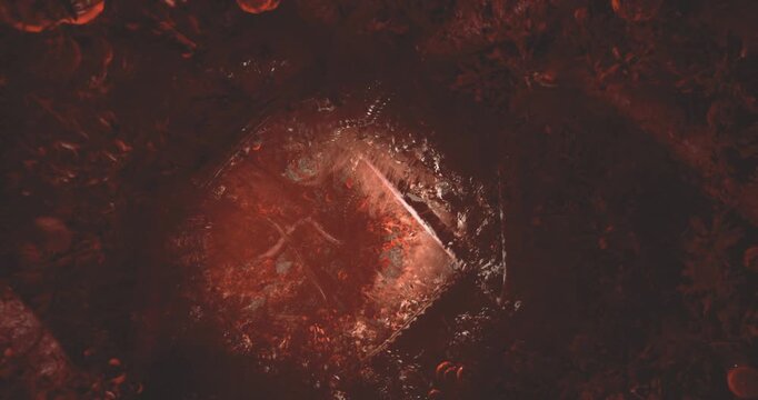 A person digs into the earth in a densely wooded area, revealing a buried object. The soil appears rich and dark, surrounded by vibrant green plants and fallen leaves.