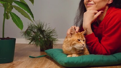 Cute smiling woman lying on a floor at home near fir green tree with her orange fun maine coon cat. Female playing, stroking her beautiful kitten. Happy relax time