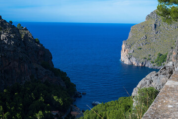Scenic Mediterranean coastal landscape with dramatic cliffs, green pine forest and deep blue sea under a clear sky